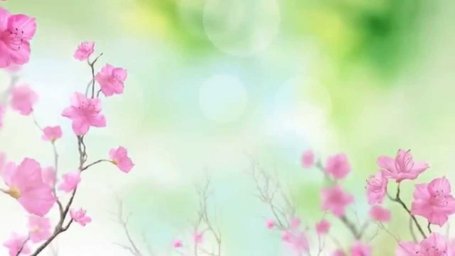 Запчасти iPhone iPad Sony Samsung LG Xiaomi и др.